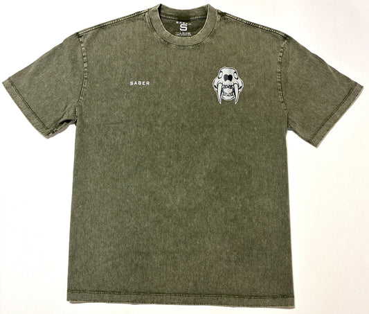 SBR1-Faded Tee-Worn Sage